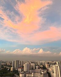 Blk 113A Mcnair Towers (Kallang/Whampoa), HDB 4 Rooms #628396051